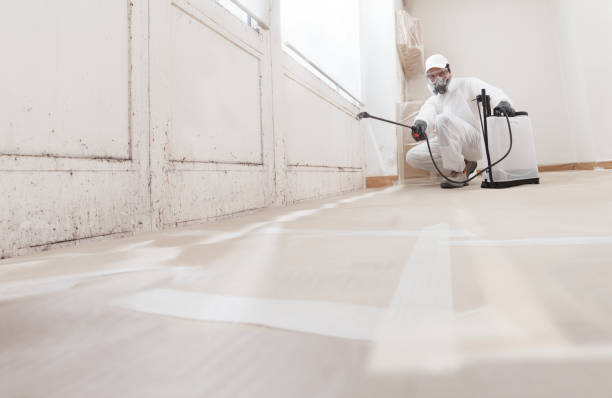 24/7 Emergency Mold Cleanup experts in Wycombe, PA