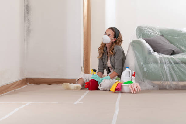 Reliable Mold Cleanup contractor in Wycombe, PA by Cheap Mold Removal